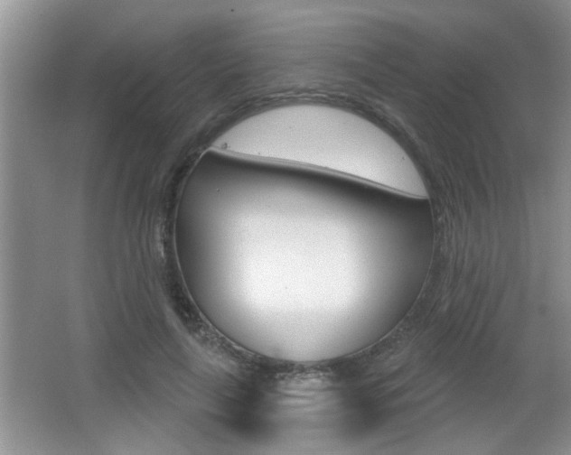 X0000065950643200603030904