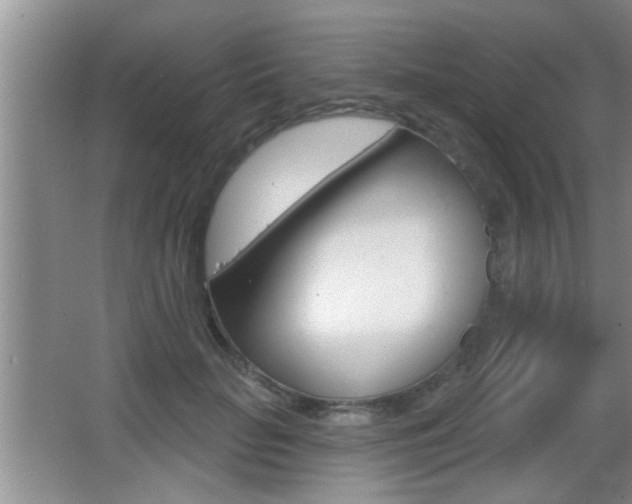 X0000065950653200603030904