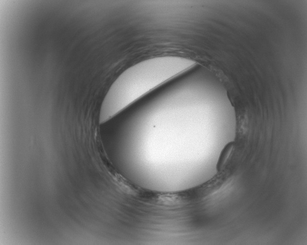 X0000065950666200603030904