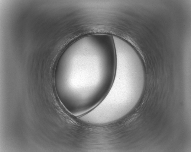 X0000065950673200603030904