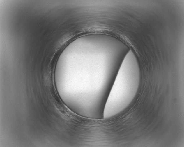 X0000065950675200603030904
