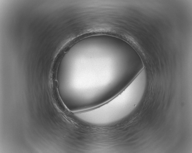 X0000065950676200603030903