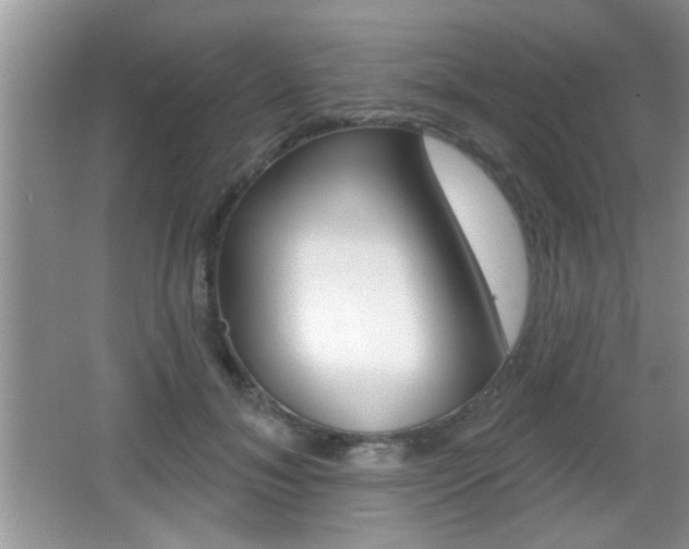 X0000065950700200603030903