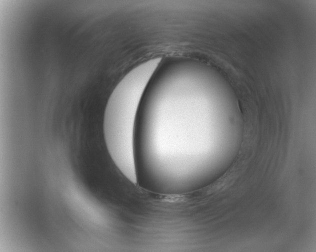 X0000065950720200603030903