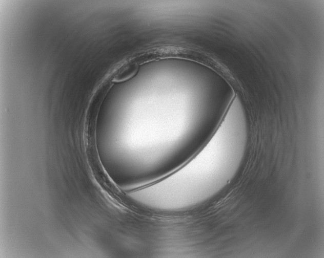 X0000065950722200603030902