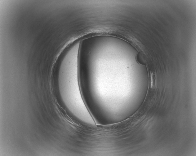 X0000065950723200603030902
