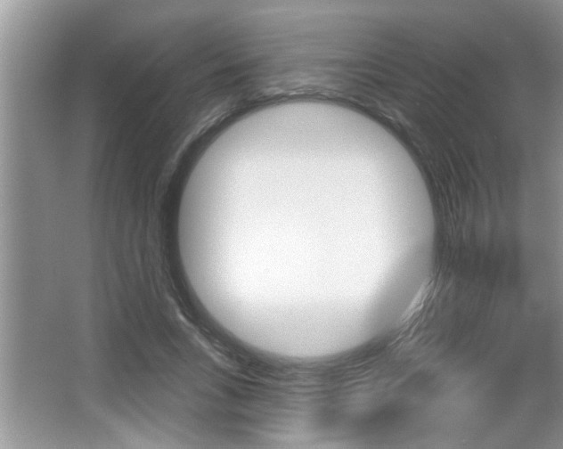 X0000065950735200603030902