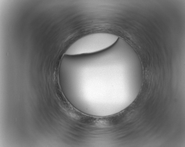 X0000065950741200603030902