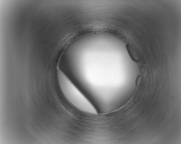 X0000065950744200603030902