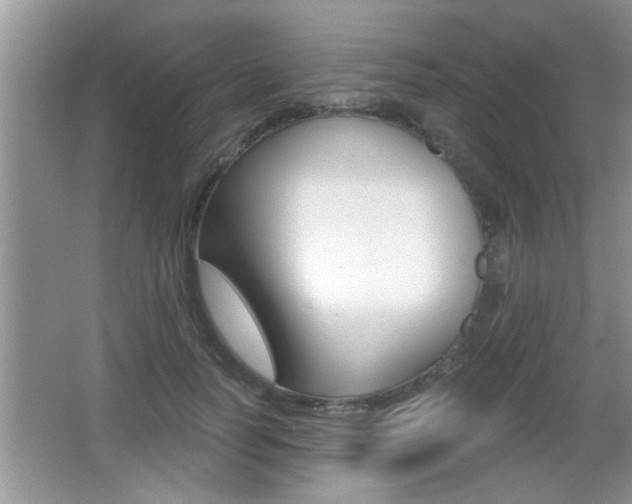 X0000065950746200603030902