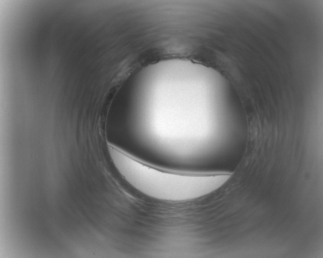 X0000065950764200603030903
