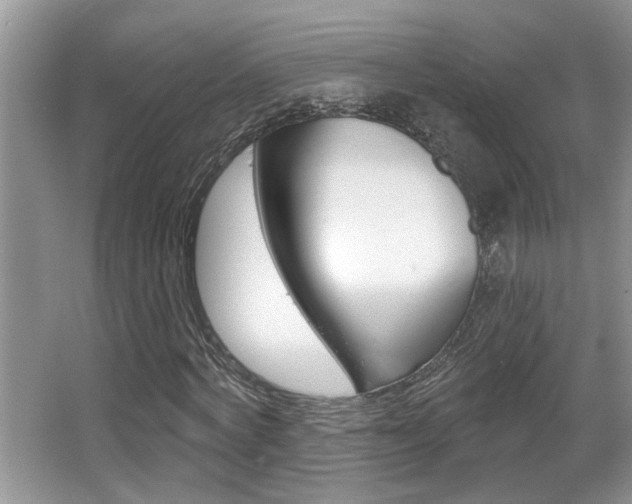 X0000065950772200603030902