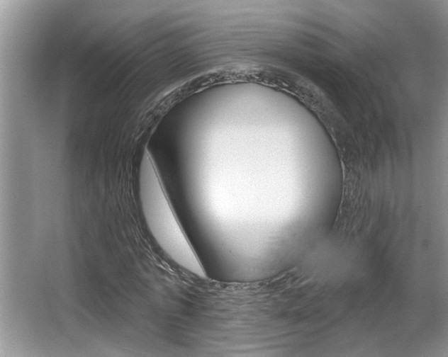 X0000065950773200603030902