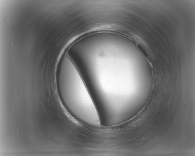 X0000065950792200603030902