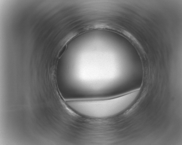 X0000065950801200603030901