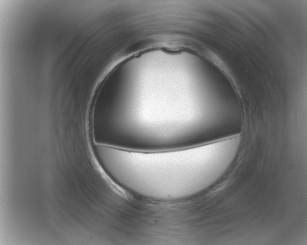X0000065950803200603030901