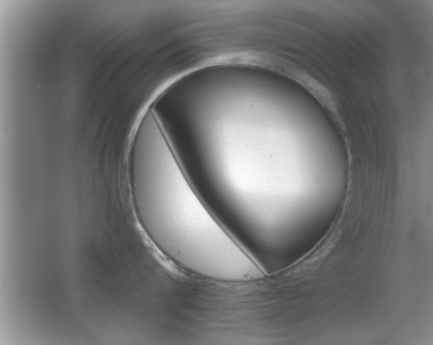 X0000065950816200603030901