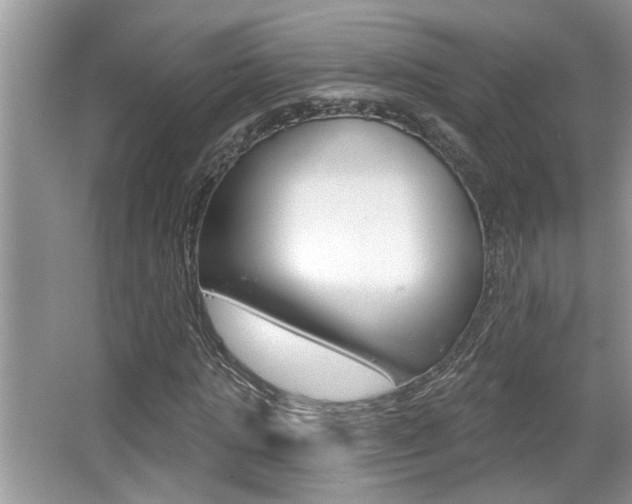 X0000065950821200603030900