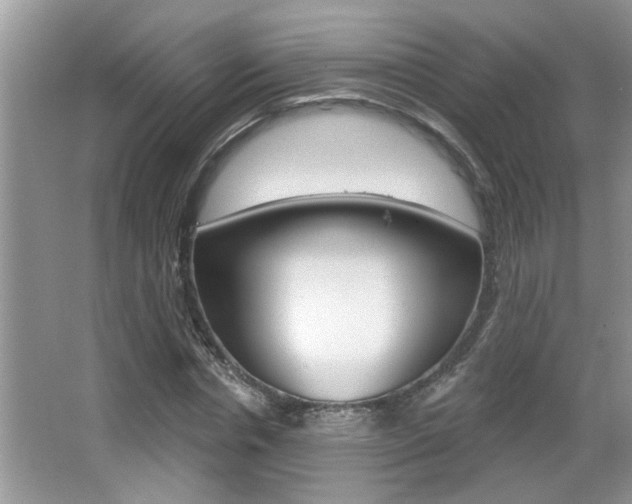 X0000065950826200603030900