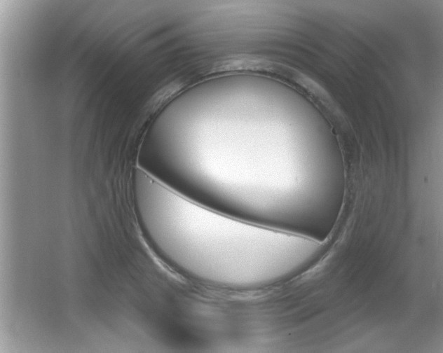 X0000065950841200603030901