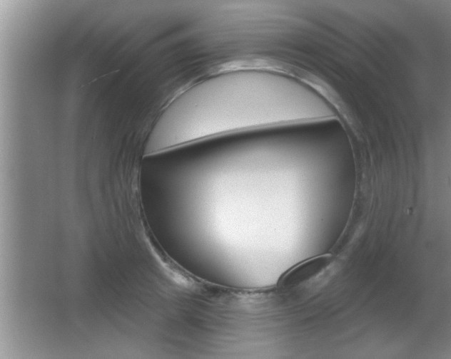 X0000065950849200603030901