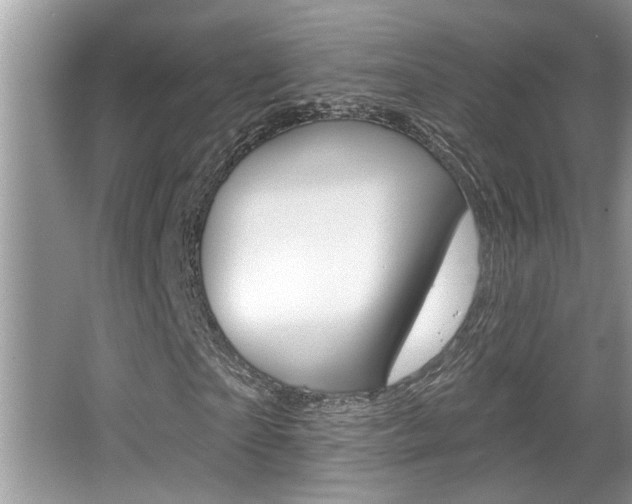 X0000065950865200603030900