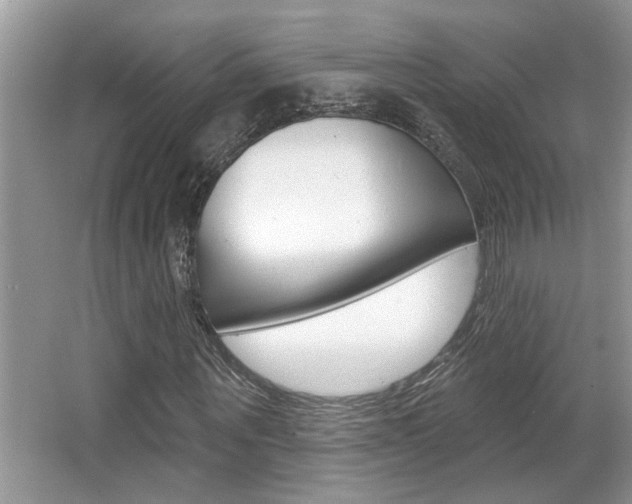 X0000065950867200603030900