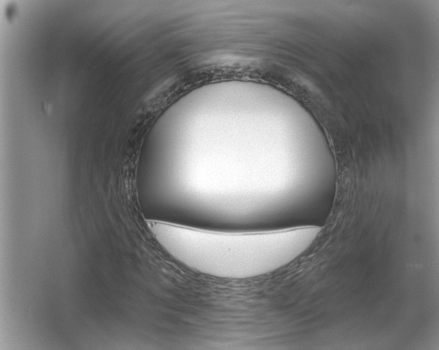 X0000065950869200603030900