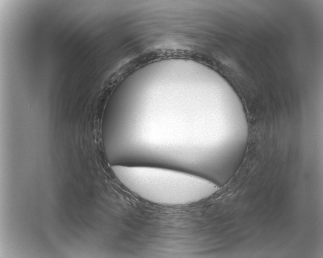 X0000065950870200603030900