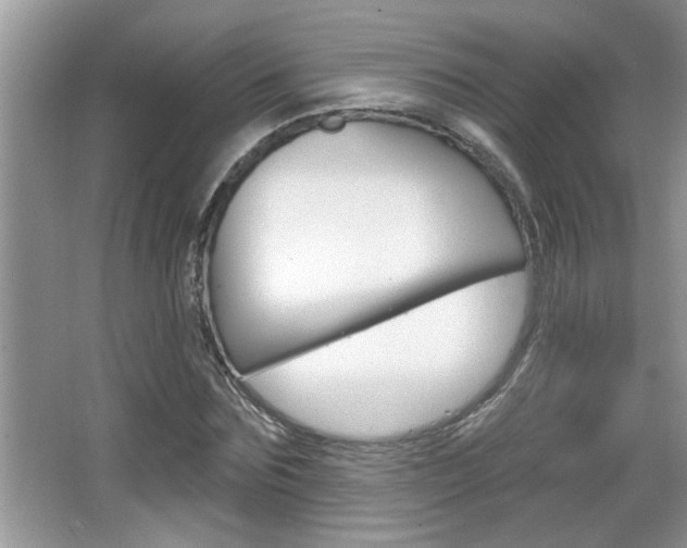 X0000065950875200603030900