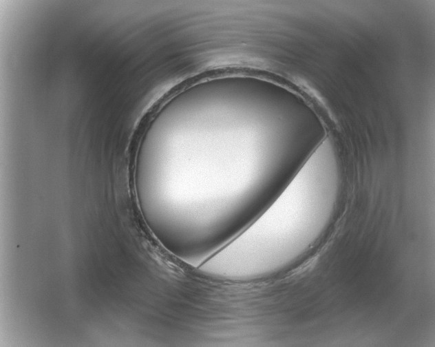 X0000065950877200603030900