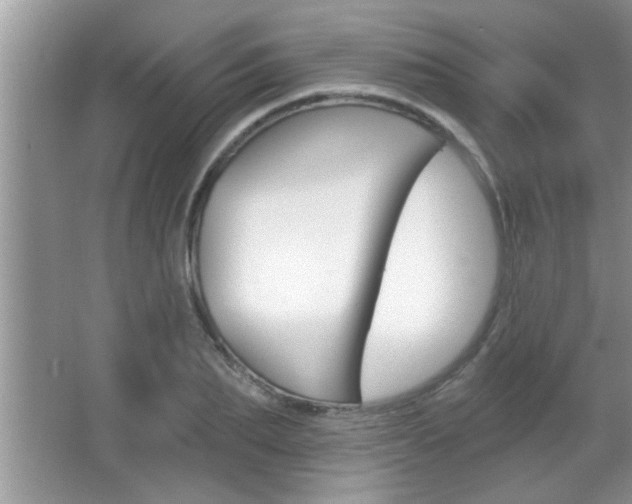X0000065950887200603030900