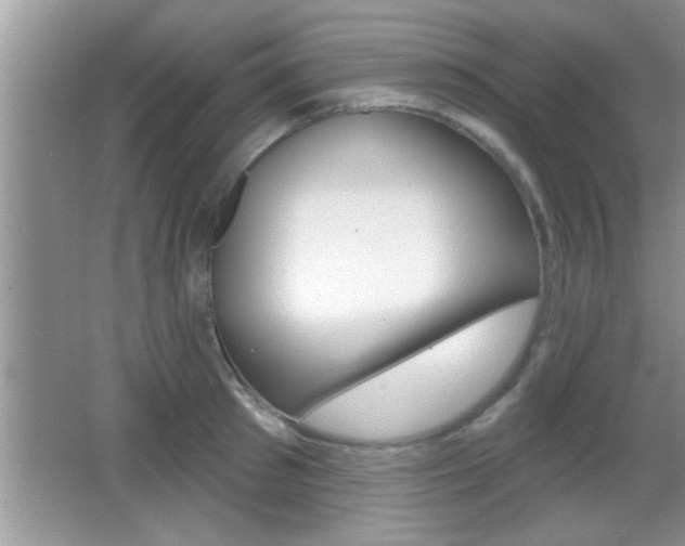 X0000065950897200603030900