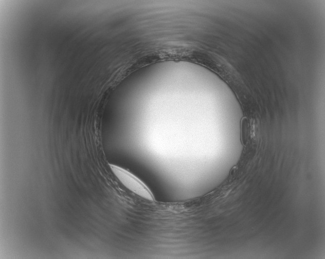 X0000065950915200603030859