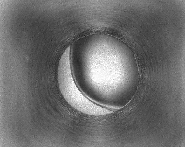 X0000065950916200603030859