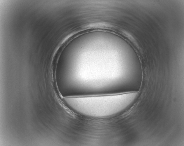 X0000065950931200603030859