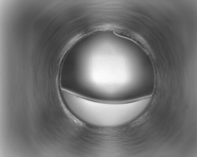 X0000065950946200603030859