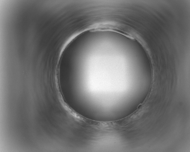 X0000065950960200603030859