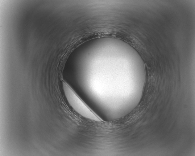 X0000065950961200603030859