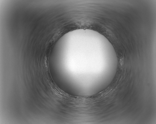 X0000065950963200603030859