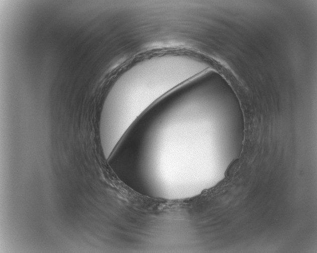 X0000065950967200603030859