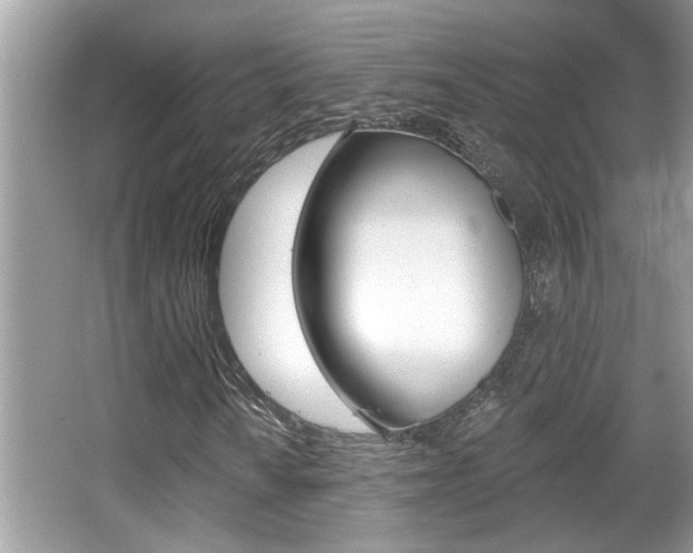 X0000065951010200603030857