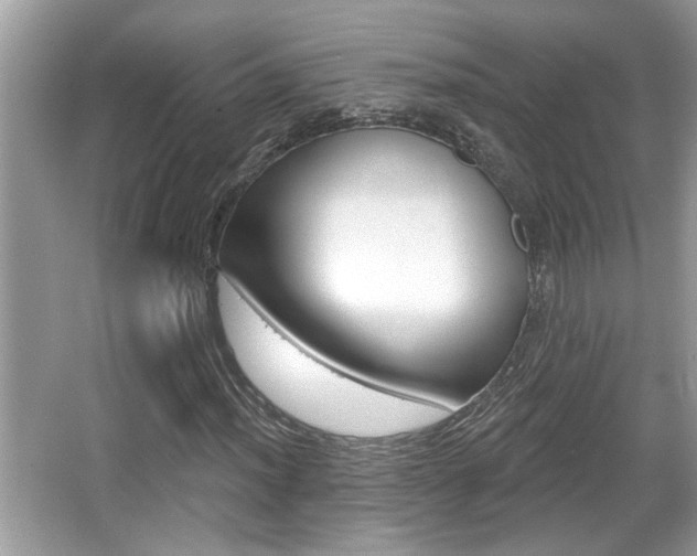 X0000065951012200603030857