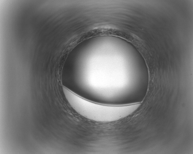 X0000065951014200603030857