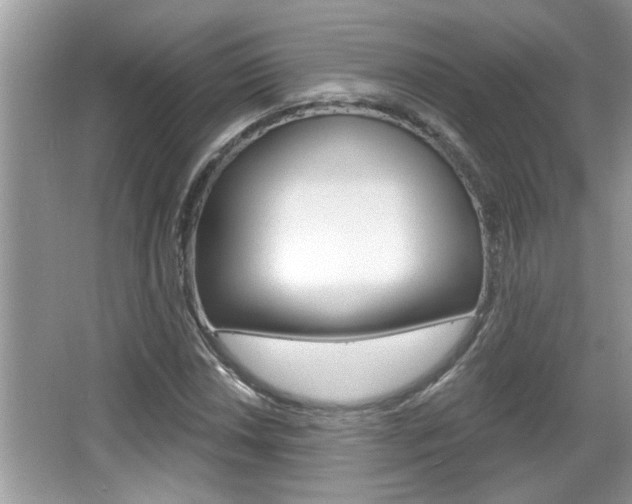 X0000065951018200603030857