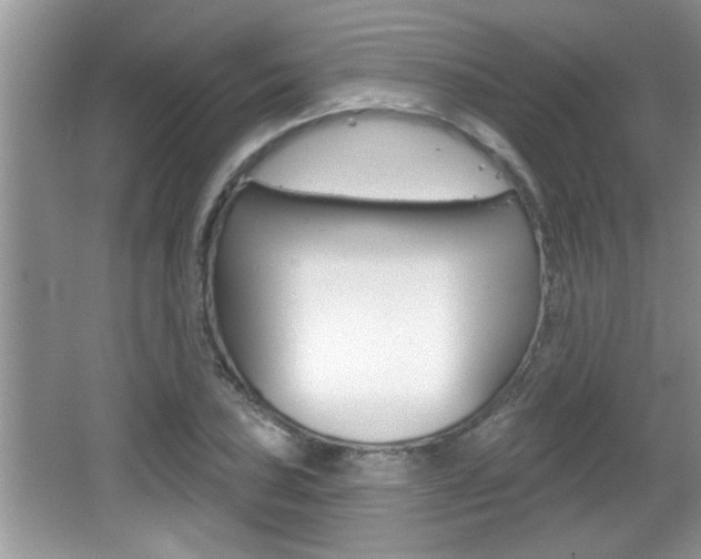 X0000065951027200603030857