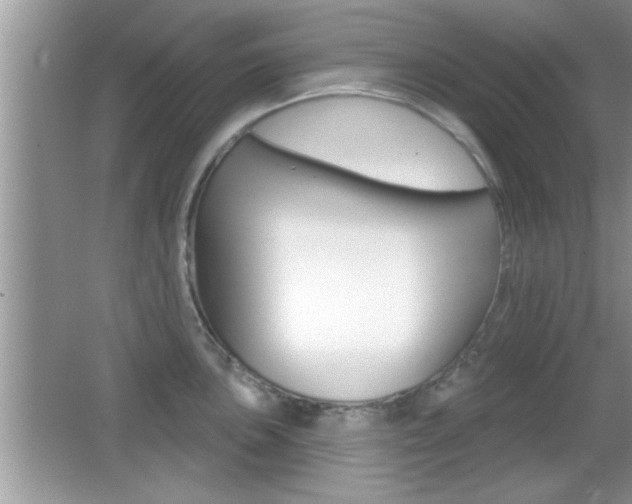 X0000065951051200603030858