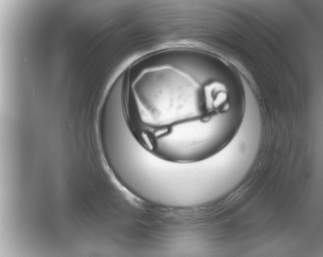 X0000065951054200603030858