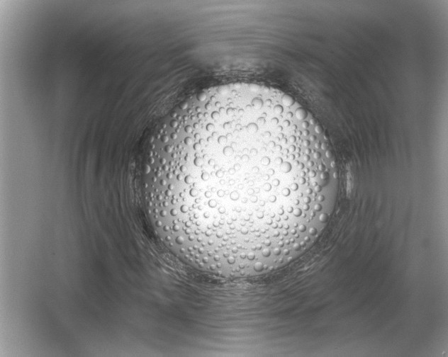 X0000065951059200603030857