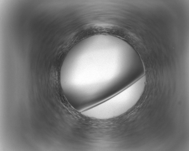 X0000065951061200603030857